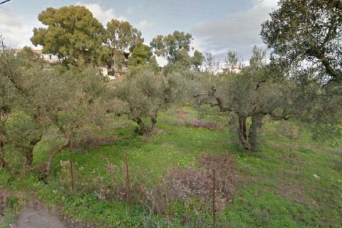 Land in Zakynthos, Greece No. 28061 8