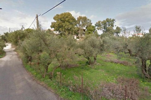 Land in Zakynthos, Greece No. 28061 12