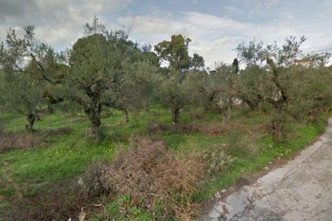 Land in Zakynthos, Greece No. 28061 11