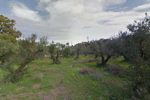 Land in Zakynthos, Greece No. 28061 4