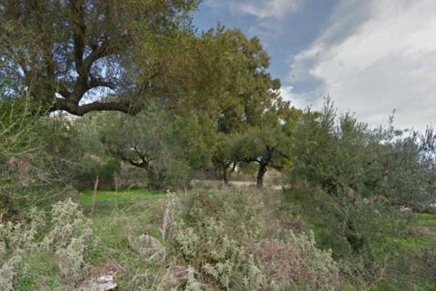 Land in Zakynthos, Greece No. 28061 1