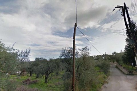 Land in Zakynthos, Greece No. 28061 15