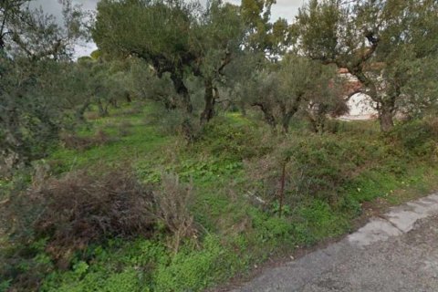 Land in Zakynthos, Greece No. 28061 6