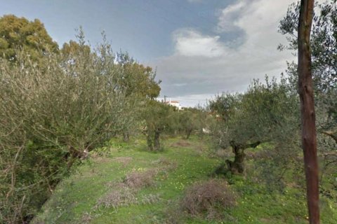 Land in Zakynthos, Greece No. 28061 7