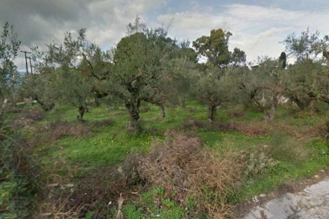 Land in Zakynthos, Greece No. 28061 10