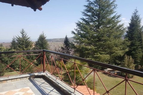 Вилла с 6 спальнями в Верия, Греция №55870 4