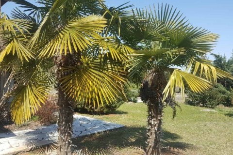 Вилла с 6 спальнями в Верия, Греция №55870 5