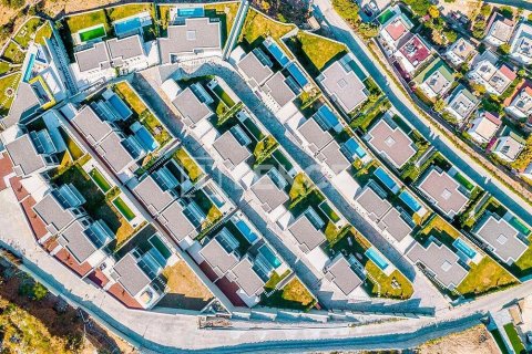 5 chambres Villa à Phi Dien, Vietnam No. 11716 21