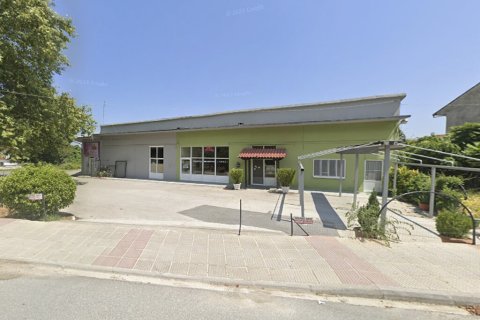 1700m² Business in Imathia, Greece No. 108934 1