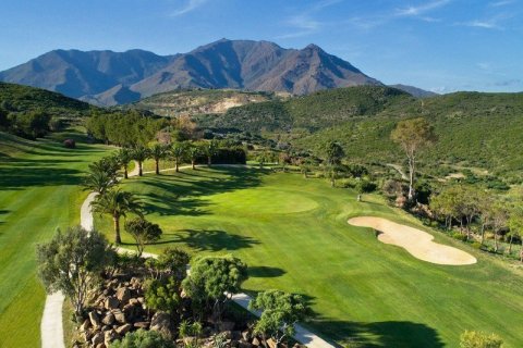 Недвижимость с 4 спальнями в Tay Giang, Вьетнам №83948 2