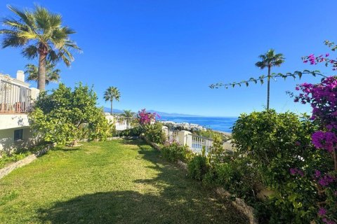 Недвижимость с 4 спальнями в Tay Giang, Вьетнам №83948 29