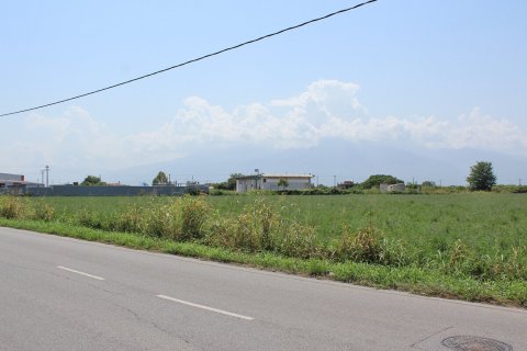 Земельный участок 7642м² в Катерини, Греция №55872 1