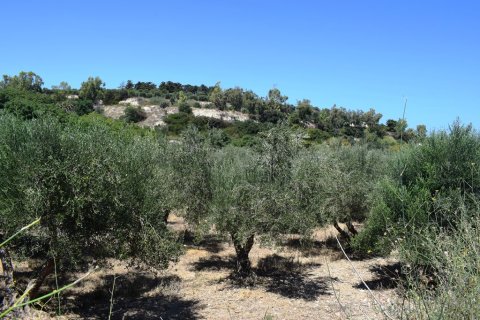 5500m² Land in Rethymno, Greece No. 109623 3