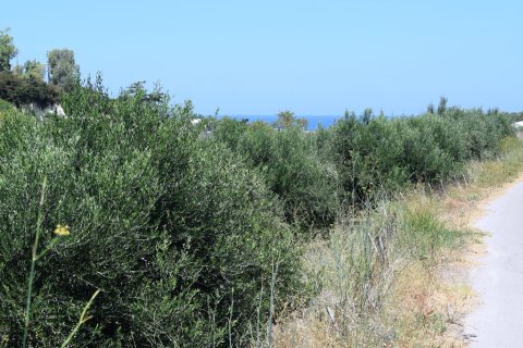 5500m² Land in Rethymno, Greece No. 109623 2