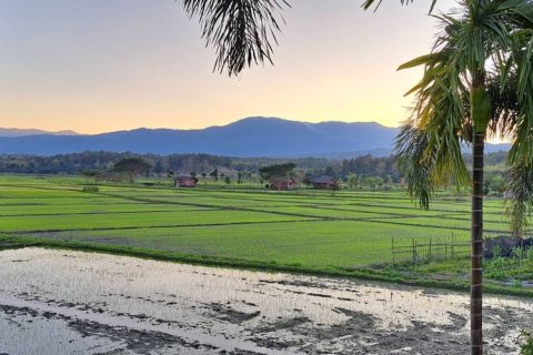 5 bedrooms House in Chiang Mai, Thailand No. 98191 17