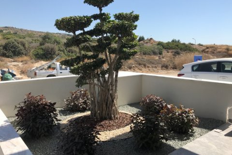 7 rooms Villa in Limassol, Cyprus No. 106171 14