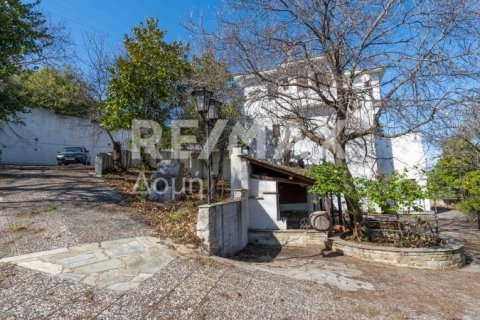 Мезонет с 4 спальнями в Магнисия, Греция №84662 12