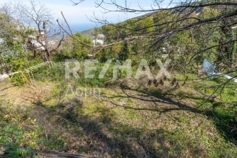 Мезонет с 4 спальнями в Магнисия, Греция №84662 20