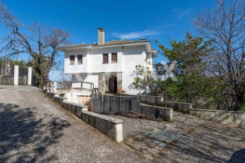 Мезонет с 4 спальнями в Магнисия, Греция №84662 8