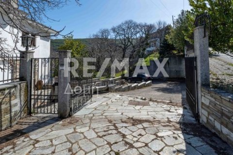 Мезонет с 4 спальнями в Магнисия, Греция №84662 4