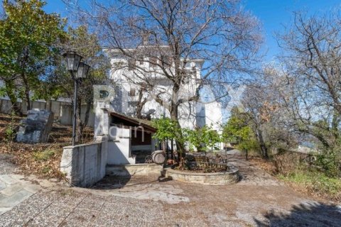 Мезонет с 4 спальнями в Магнисия, Греция №84662 13