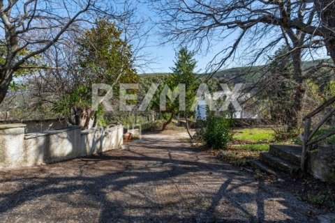 Мезонет с 4 спальнями в Магнисия, Греция №84662 9