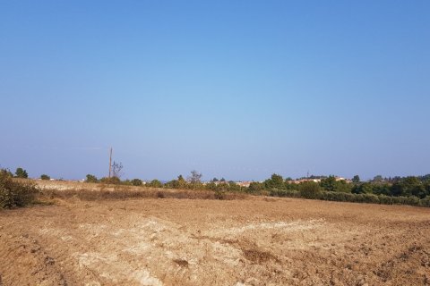 11005m² Land in Chalkidiki, Greece No. 57829 4