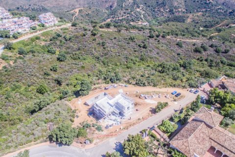 3 chambres Villa à Tan Xuan, Vietnam No. 27191 3