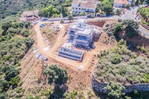 3 chambres Villa à Tan Xuan, Vietnam No. 27191 4