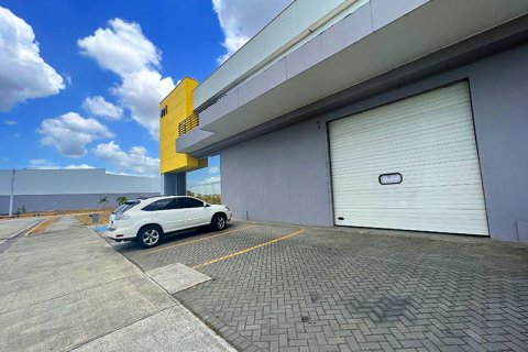 Склад 484м² в Панама №120718 3