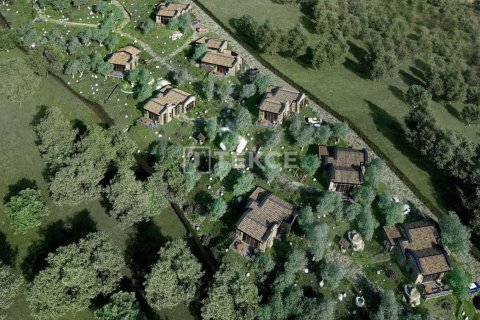 3 bedrooms Villa in Duong Duc, Vietnam No. 13679 11