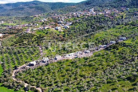 3 bedrooms Villa in Duong Duc, Vietnam No. 13679 4