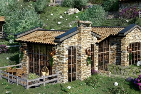 3 bedrooms Villa in Milas, Turkey No. 13679