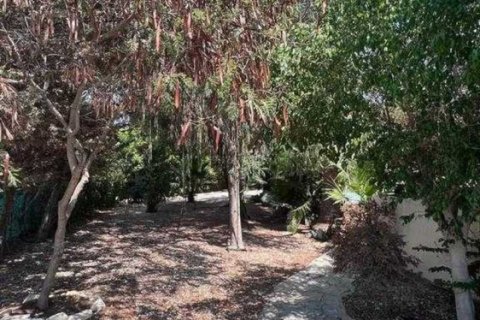 4 bedrooms House in Parekklisia, Cyprus No. 40100 11