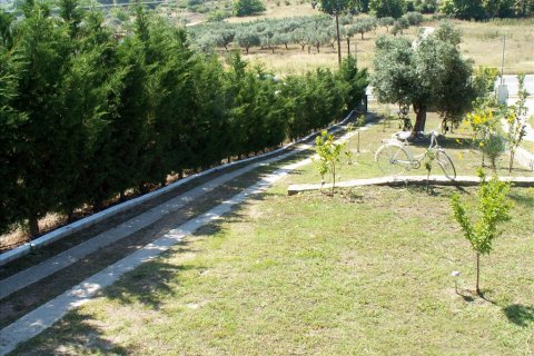 4 bedrooms House in Chalkidiki, Greece No. 60276 3