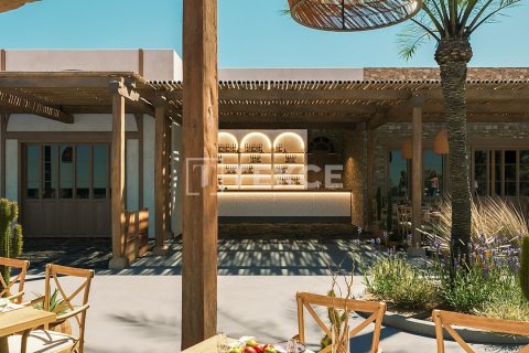 1 bedroom Villa in Phu Ngai, Vietnam No. 15589 29