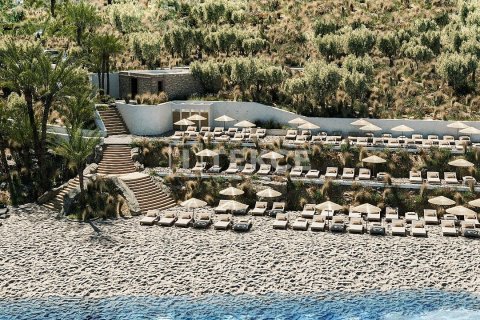 1 bedroom Villa in Phu Ngai, Vietnam No. 15589 30