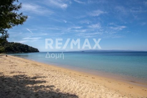 Земельный участок 4050м² в Скиатос, Греция №27963 13