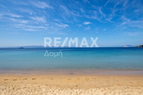 Земельный участок 4050м² в Скиатос, Греция №27963 14