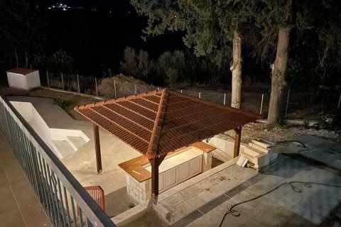 Вилла с 4 спальнями в Финикария, Кипр №101342 11