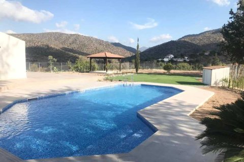 Вилла с 4 спальнями в Финикария, Кипр №101342 1