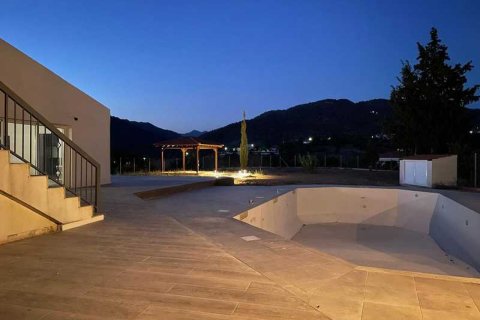 Вилла с 4 спальнями в Финикария, Кипр №101342 12