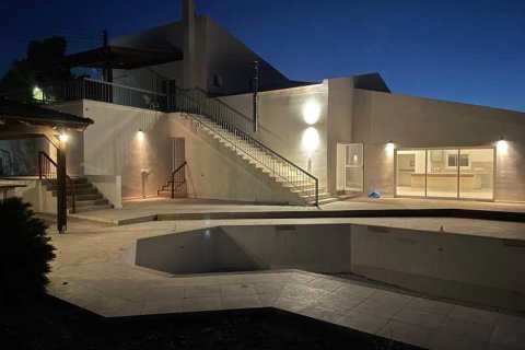 Вилла с 4 спальнями в Финикария, Кипр №101342 13