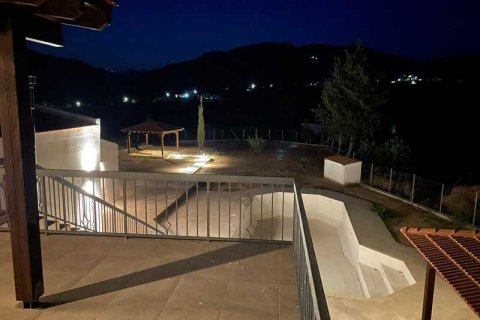 Вилла с 4 спальнями в Финикария, Кипр №101342 10