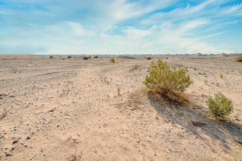 30131m² Land in Al Tebeen, Vietnam No. 5883 3