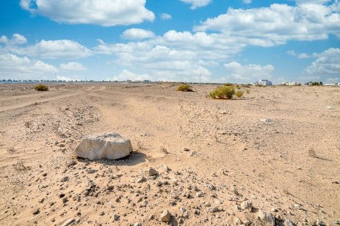 30131m² Land in Al Tebeen, Vietnam No. 5883 5