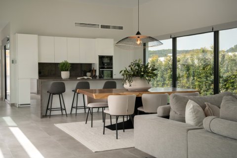 4 bedrooms Villa in Dinh An, Vietnam No. 27581 29