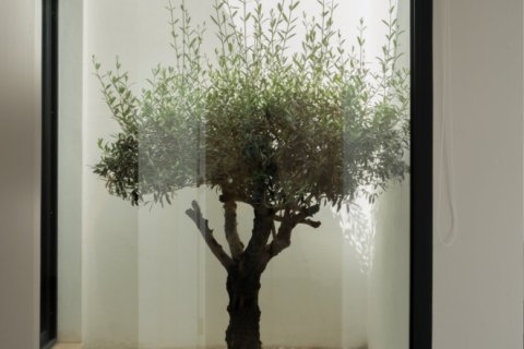 4 bedrooms Villa in Dinh An, Vietnam No. 27581 22