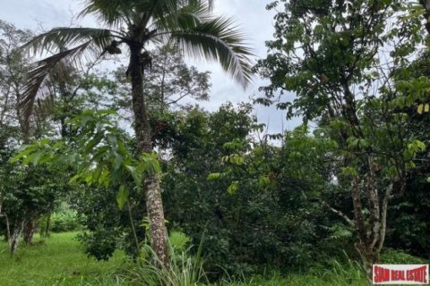 Land in Phang Nga, Thailand No. 96377 7