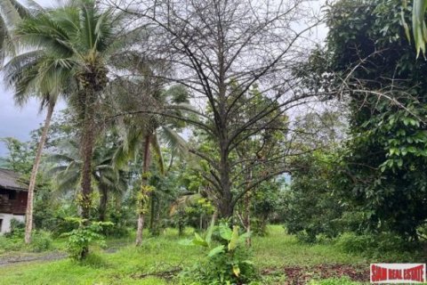 Land in Phang Nga, Thailand No. 96377 10